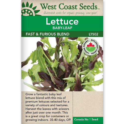 Lettuce Fast & Furious Organic - West Coast Seeds