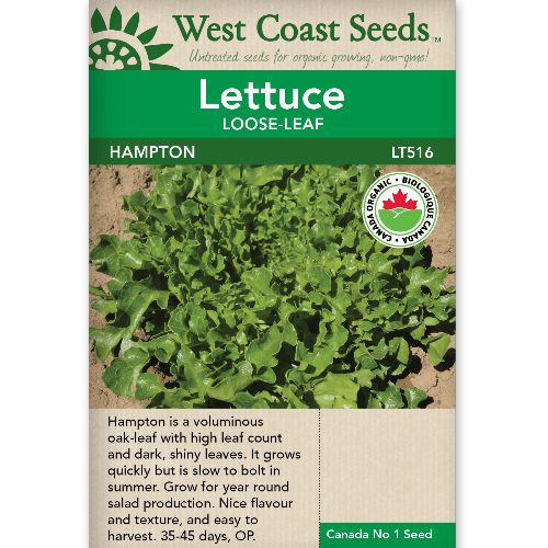 Lettuce Hampton Organic - West Coast Seeds