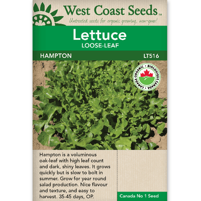 Lettuce Hampton Organic - West Coast Seeds