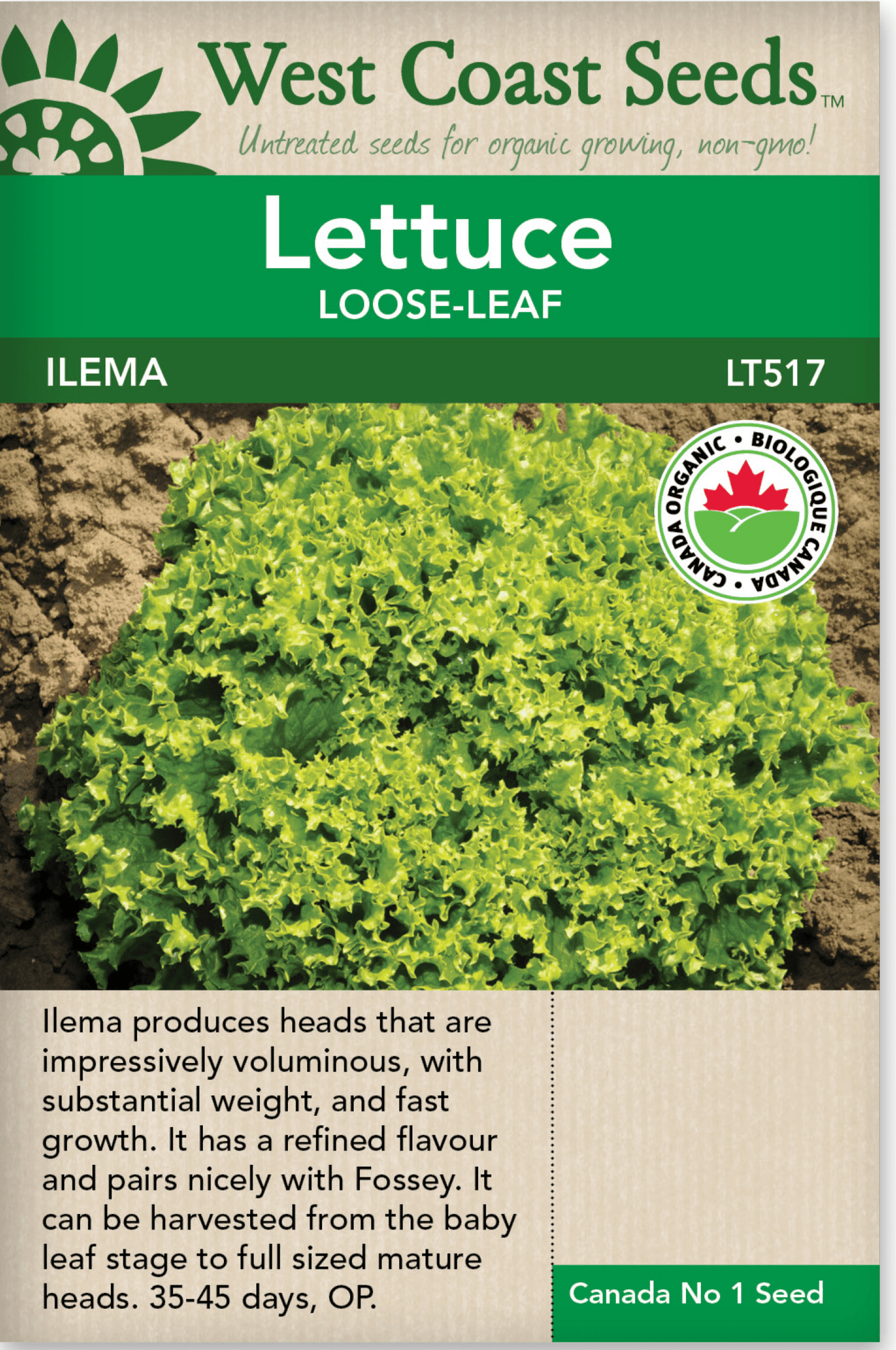 Organic Lettuce Ilema Pelleted - West Coast Seeds