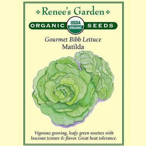Lettuce Matilda Bibb - Renee's Garden Seeds