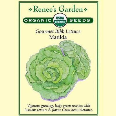 Lettuce Matilda Bibb - Renee's Garden Seeds