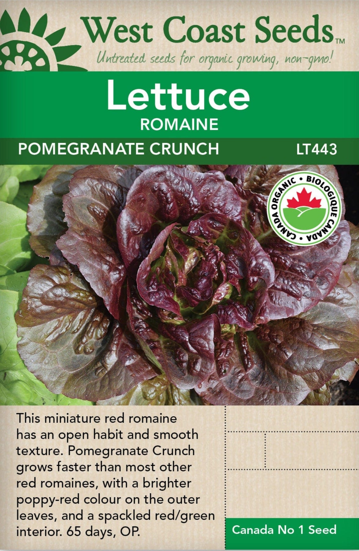 Pomegranate Crunch - Organic Romaine Lettuce Seeds