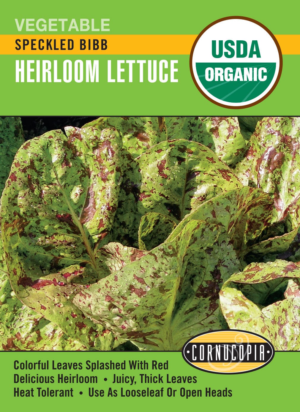 Organic Lettuce Speckled Bibb - Cornucopia Seeds