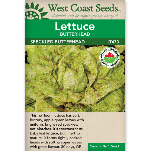 Lettuce Speckled Butterhead - West Coast Seeds