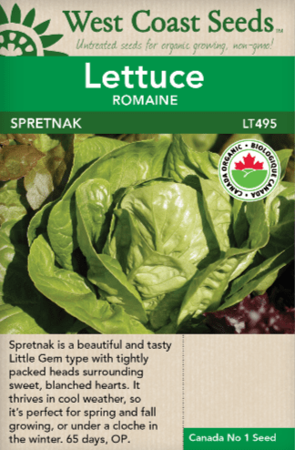 Lettuce Spretnak - West Coast Seeds