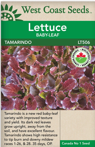 Organic Lettuce Tamarindo - West Coast Seeds