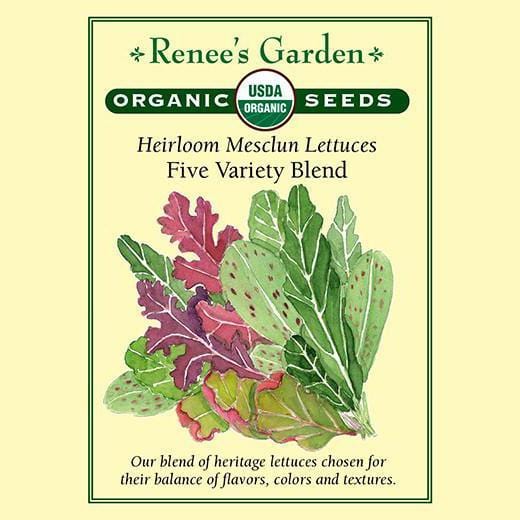 Mesclun Five Variety Blend - Renee's Garden
