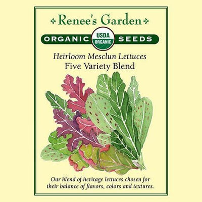 Mesclun Five Variety Blend - Renee's Garden
