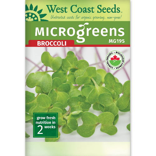 Microgreens Broccoli - West Coast Seeds