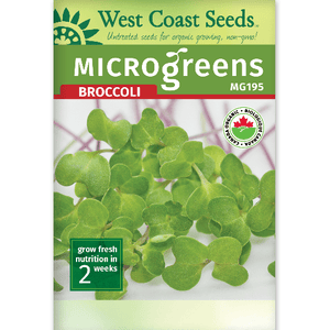 Microgreens Broccoli - West Coast Seeds