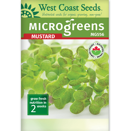 Microgreens Mustard - West Coast Seeds