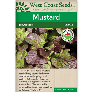 Mustard Giant Red Organic - West Coast Seeds