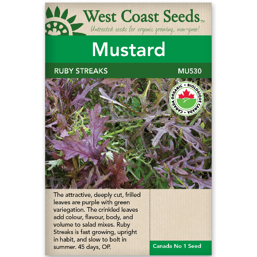 Mustard Ruby Streaks - West Coast Seeds