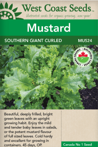 Mustard Southern Giant Curled - West Coast Seeds