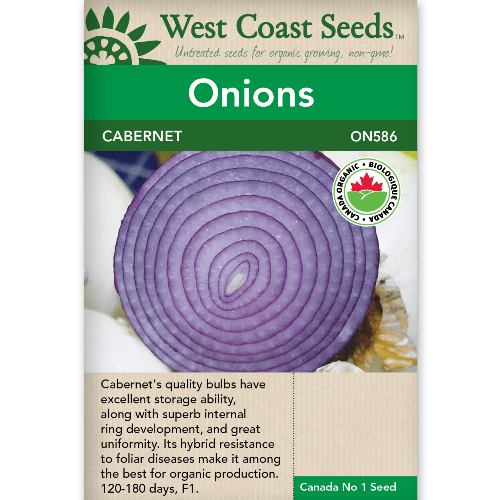 Onion Cabernet Organic - West Coast Seeds