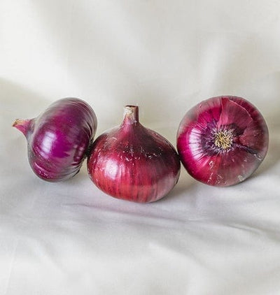 Organic Onion Cabernet - West Coast Seeds