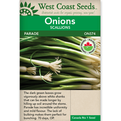 Onion Parade Scallions Organic - West Coast Seeds