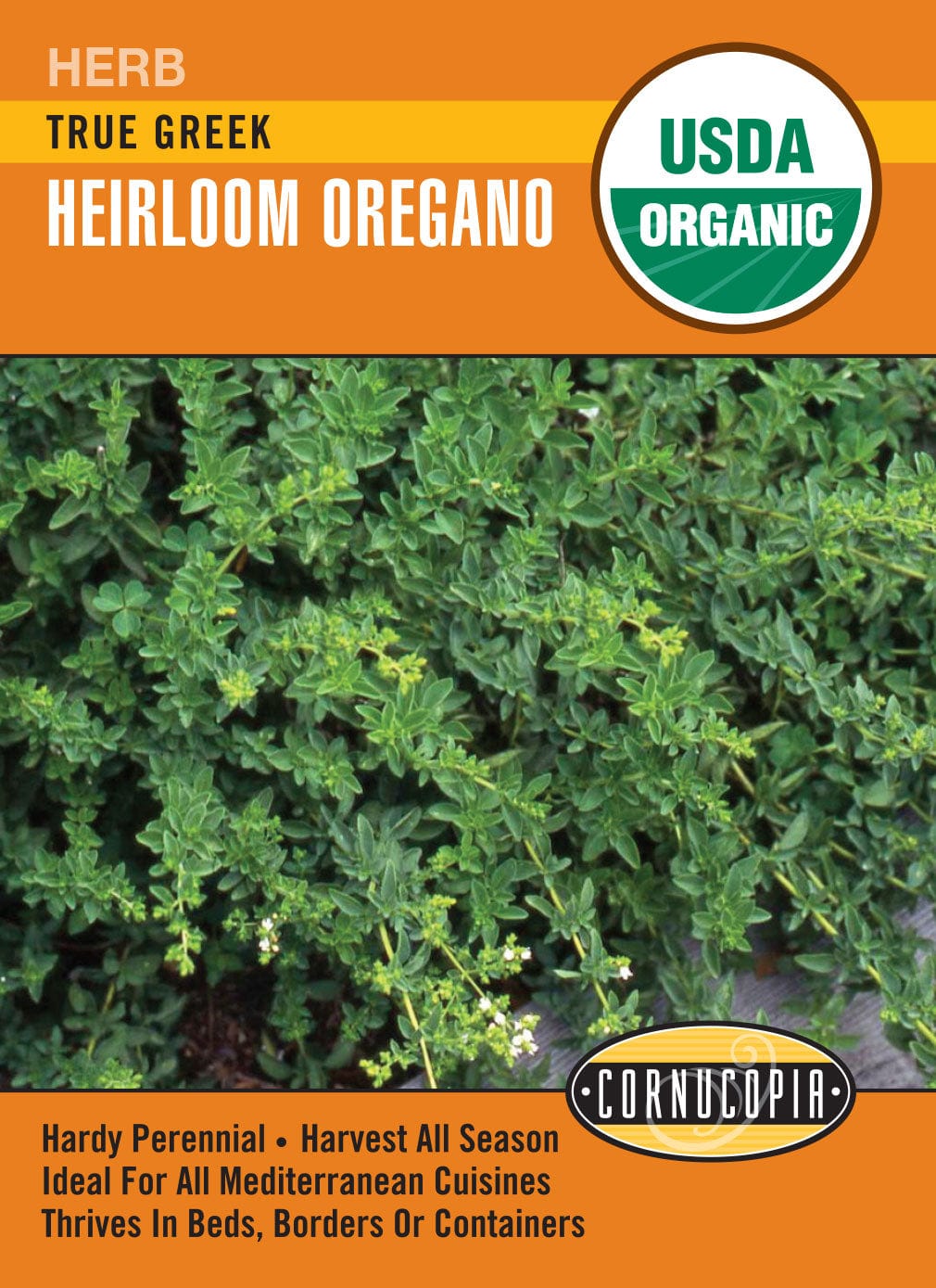 Organic Oregano True Greek - Cornucopia Seeds
