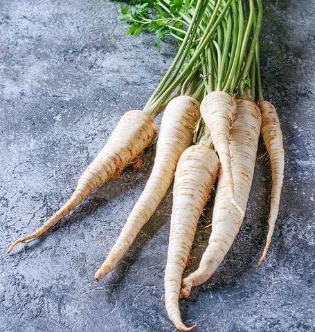 Parsnip Tender and True Organic - West Coast Seeds