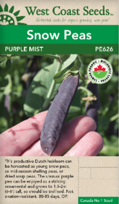 Snow Peas Purple Mist Organic - West Coast Seeds