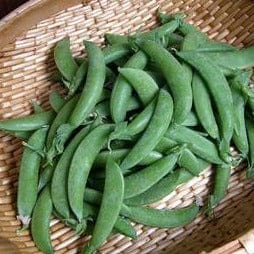 Snap Peas Sugar Daddy - Renee's Garden Seeds