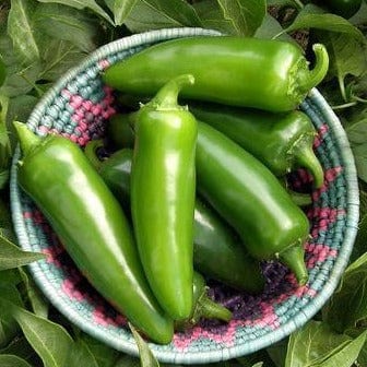 Chiles Jalapeno - Renee's Garden Seeds