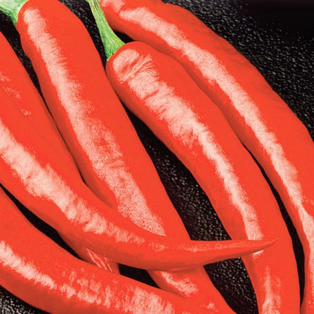 Organic Pepper Long Red Cayenne Slim - McKenzie Seeds