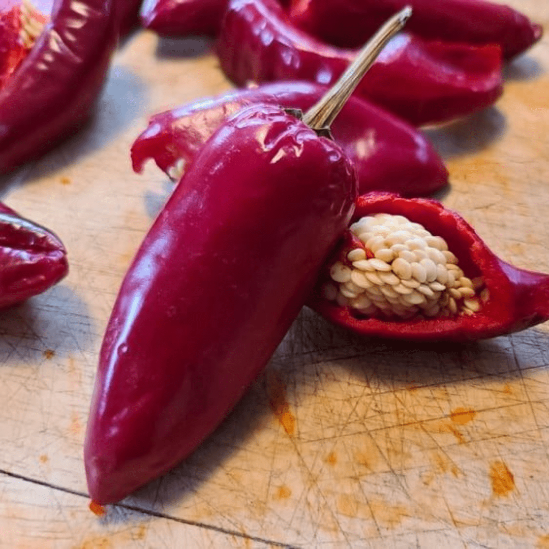 Organic Pepper Piment d'Espelette - Metchosin Farm Seeds