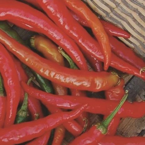 Peppers Ring-o-Fire Hot