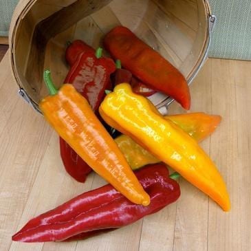 Pepper Sunset Mix - Renee's Garden Seeds