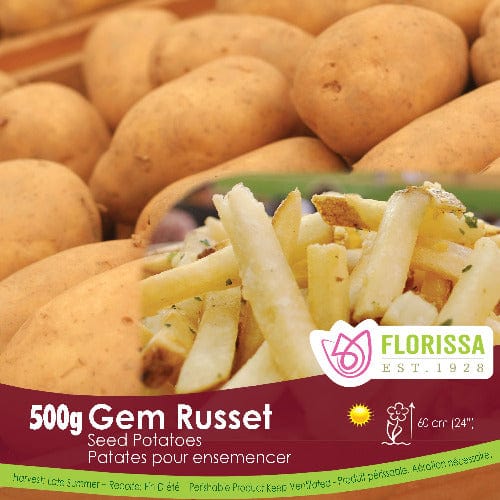 Organic Potato - GemStar Russet, 500g
