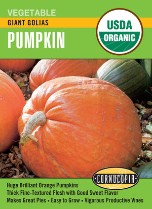 Organic Pumpkin Giant Golias - Cornucopia Seeds