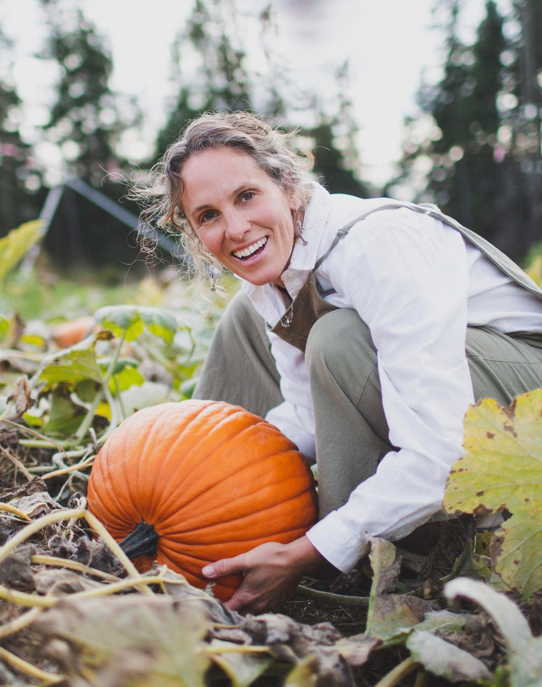 Organic Pumpkin Howden - Metchosin Farm Seeds