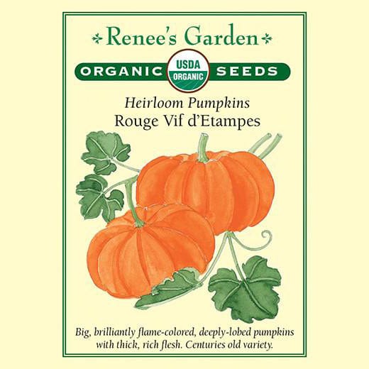 Pumpkins Rouge Vif d'Etampe - Renee's Garden
