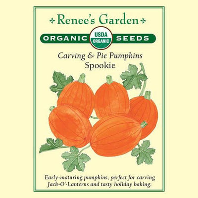 Pumpkins Spookie - Renee's Garden