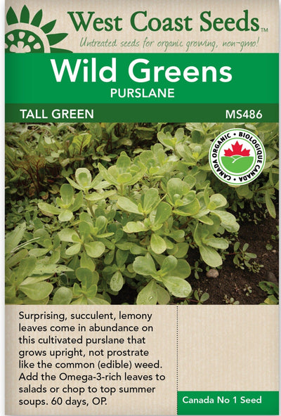 Organic Purslane Tall Green (Wild Greens) - West Coast Seeds