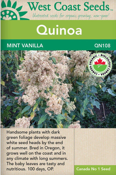 Organic Quinoa Mint Vanilla - West Coast Seeds