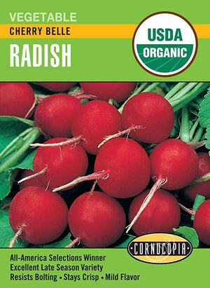 Organic Radish Cherry Belle - Cornucopia Seeds