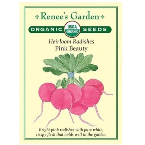 Radish Pink Beauty Heirloom Organic - Renee's Seeds