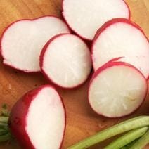 Radish Red Planet - Renee's Garden Seeds