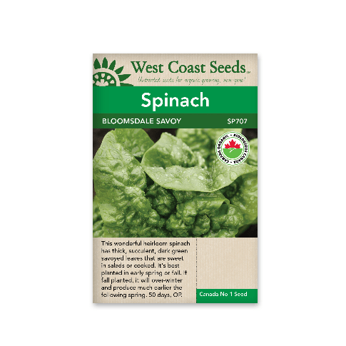 Spinach Bloomsdale Savoy Organic - West Coast Seeds