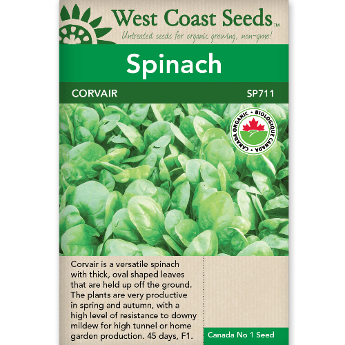 Spinach Corvair Organic - West Coast Seeds