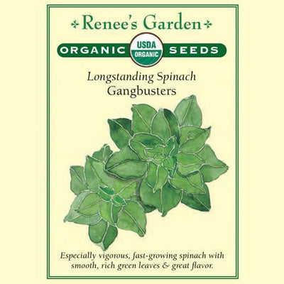 Spinach Gangbusters Organic - Renee's Garden
