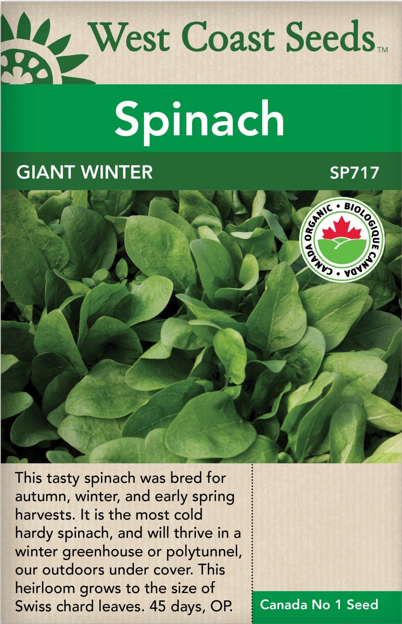 Organic Spinach Giant Winter - West Coast Seeds
