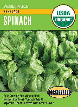 Organic Spinach Renegade - Cornucopia Seeds
