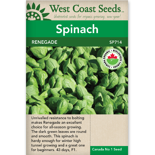 Spinach Renegade Organic - West Coast Seeds