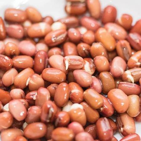 Sprouting Adzuki Beans - West Coast Seeds