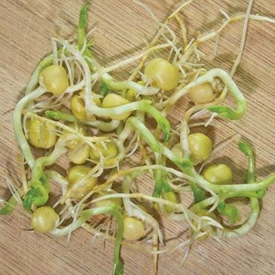 Sprouting Green Peas - West Coast Seeds