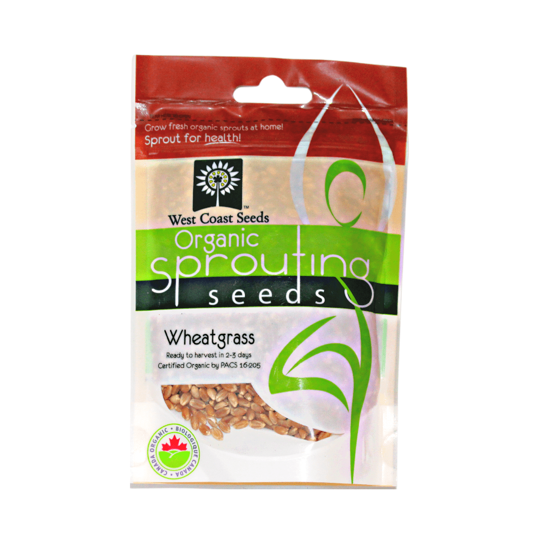 Organic Sprouting Wheatgrass - West Coast Seeds